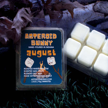 August Scent of the Month Wax Melt